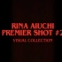 【愛内里菜影像集vol.2】RINA AIUCHI PREMIER SHOT #2 VISUAL COLLECTION