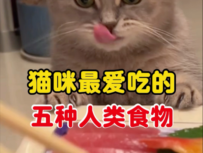 猫咪最爱吃的五种人类食物