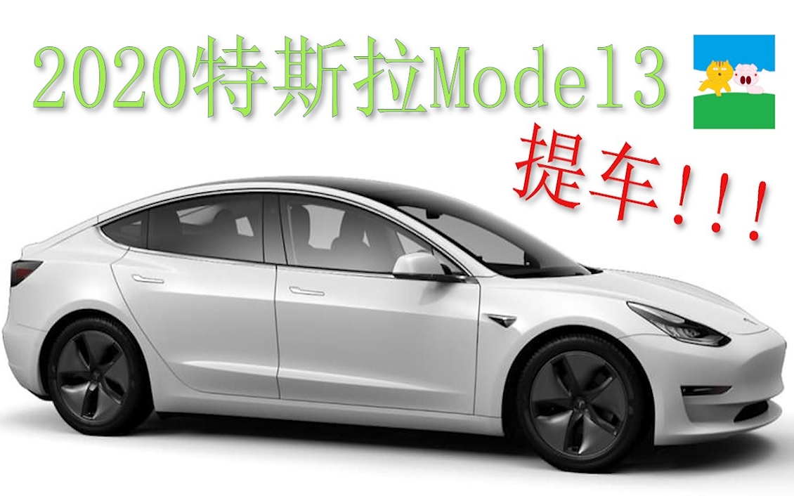 2020款特斯拉Model3提车![爱车的大猫]