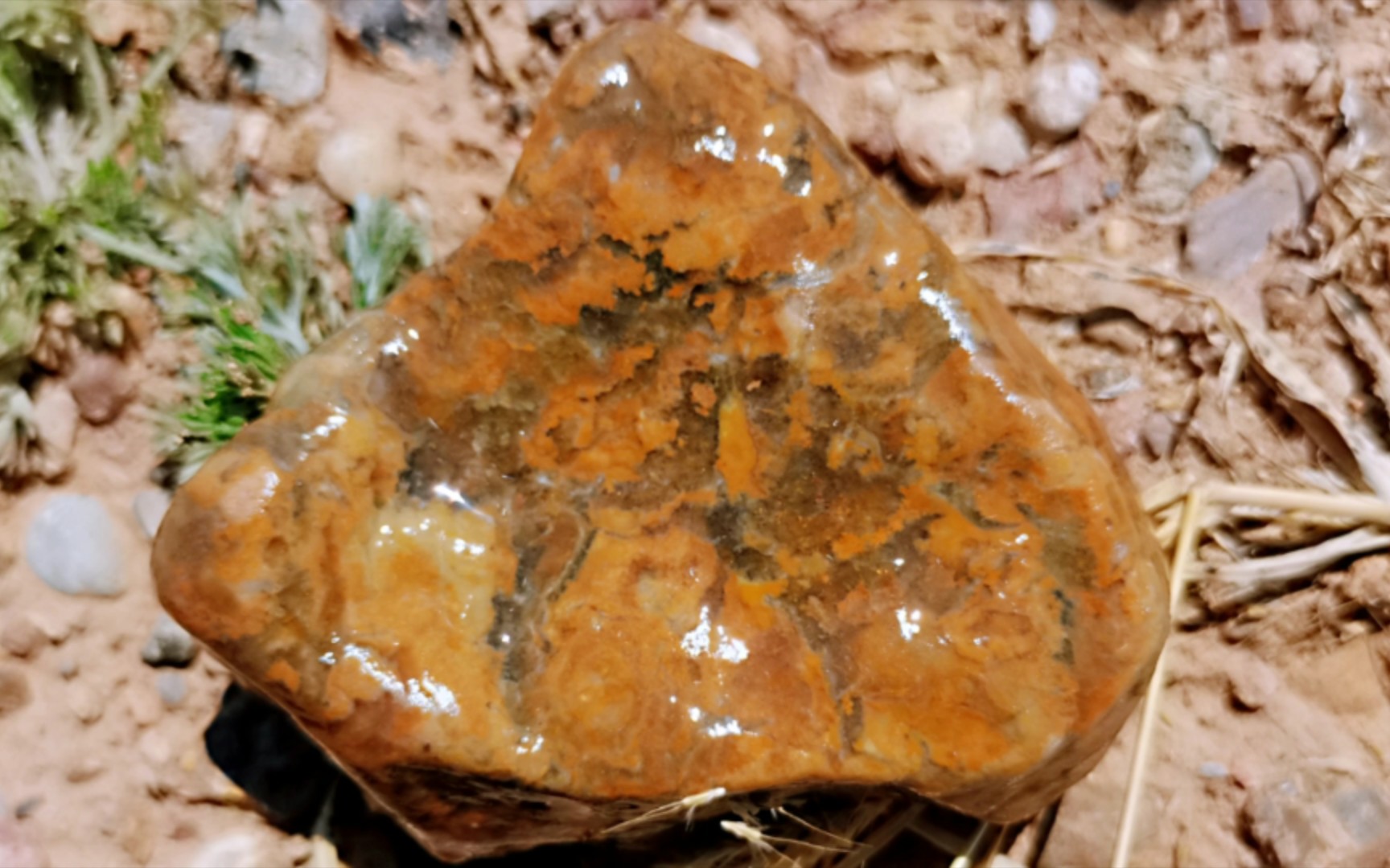 草花玛瑙真好看,原石中显露着花花草草