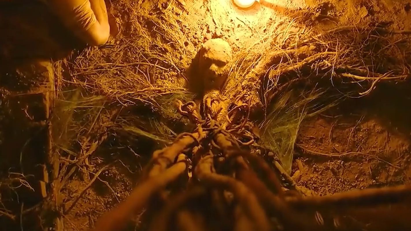 孙子循着铁链找到了身体只剩一副骨架，可依旧还活着的曾祖奶奶！！！