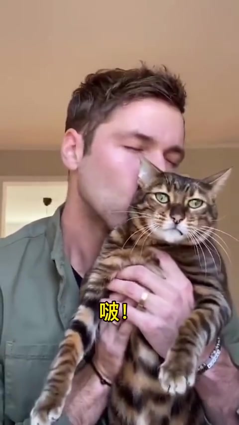 猫杀了我就现在哈哈哈快乐源泉搞笑视频搞笑幽默