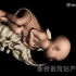 分娩机制3D动画（超好理解）