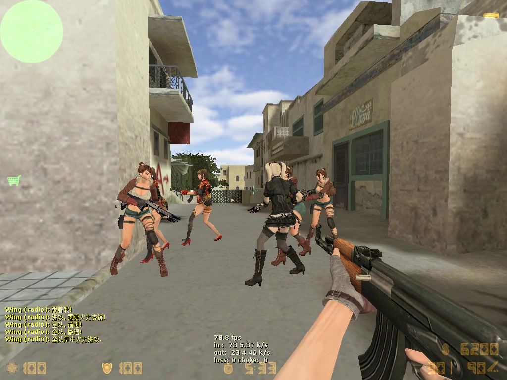 【cs1.6】女角色整合包