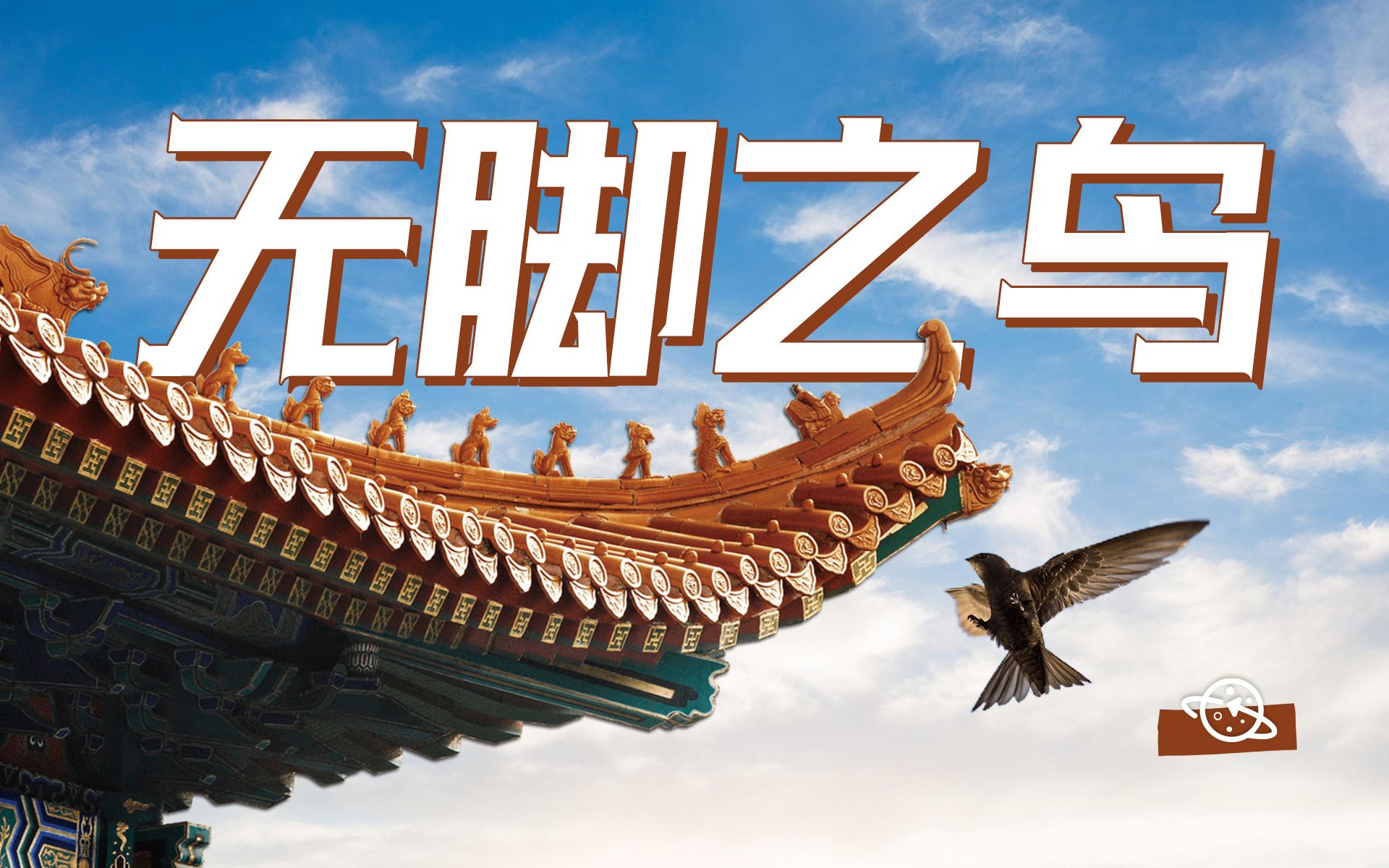 传说中的“无脚鸟”，定居北京600余年，只因老北京儿有这个！