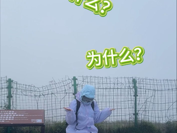 Aren't I a genius at night crawling?