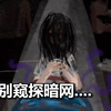 别在暗网看直播，否则你会