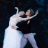 【芭蕾】《吉赛尔》官录全剧 Svetlana Zakharova，Denis Rodkin客座意大利马西莫剧院 2016