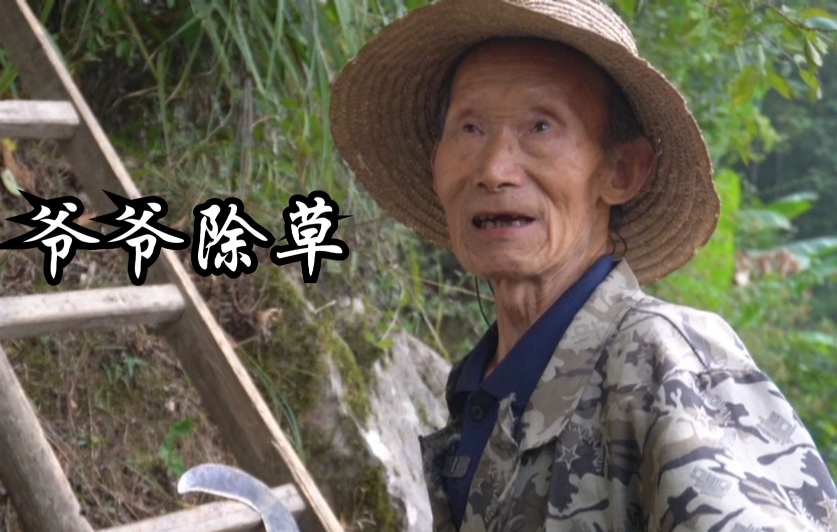 82岁爷爷的农村vlog，平淡乏味的农活，却是坚守一生的岗位