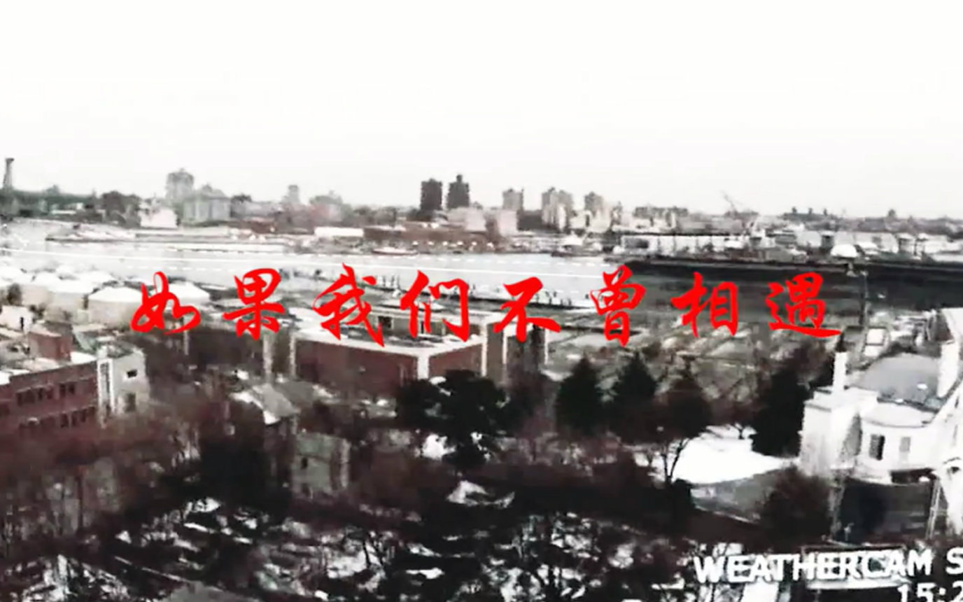 肖根 II 如果我们不曾相遇(完整版)视频在线观看