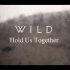 WILD - Hold Us Together (OFFICIAL VISUALIZER)