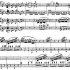 Mozart: Sonata for Two Pianos in D, K448 (莫扎特 D大调双钢琴奏鸣曲K448)