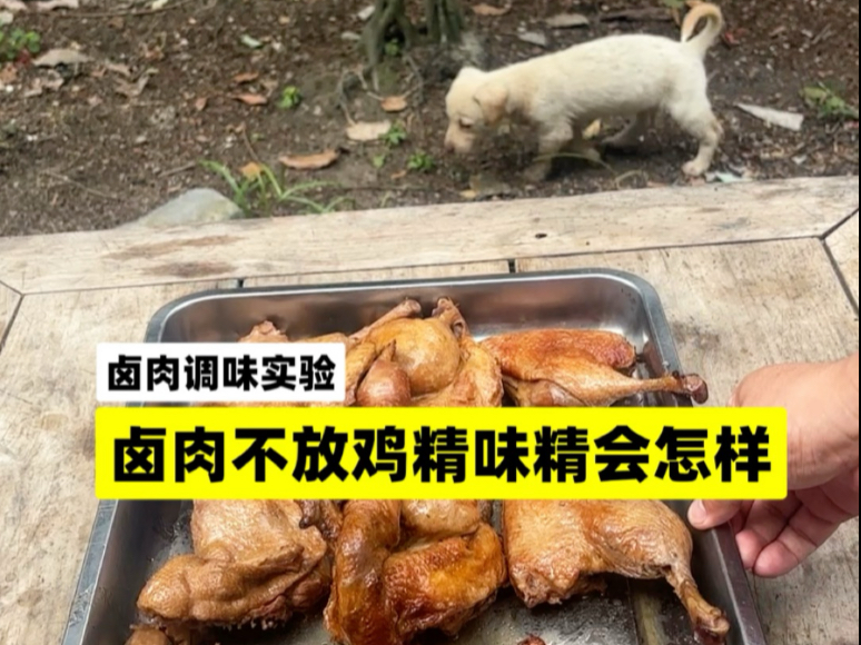做卤肉不放鸡精味精会怎样