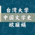 【台湾大学】中国文学史（全34讲）欧丽娟