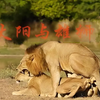 十本非常好看的架空历史文，江山美色，权谋智斗