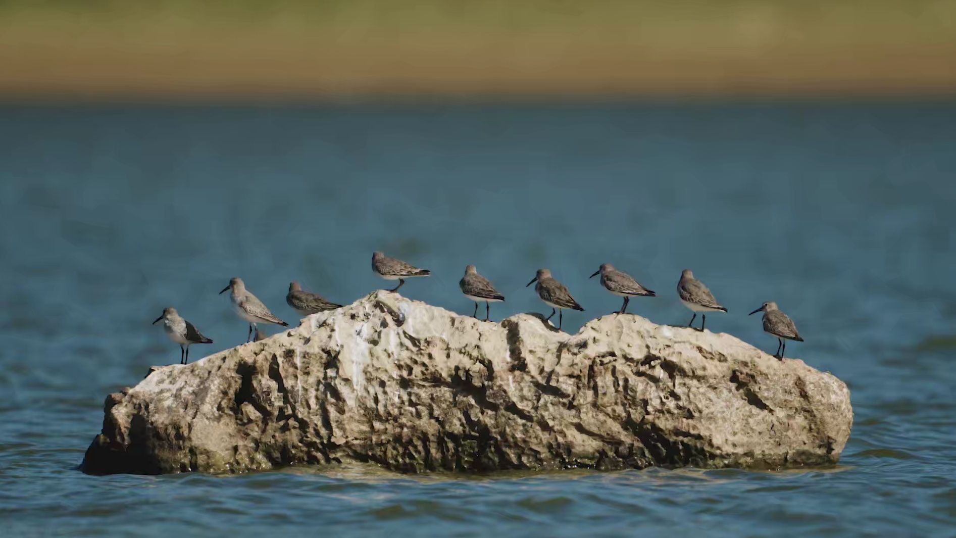 123456789，这队形保持得可以滴