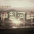 CCTV9《消失的古国-伊犁河畔》全3集 1080P超清