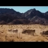 撒哈拉沙漠雨伞大亨尼古拉斯凯奇——战争之王原版结尾