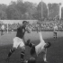 1930年乌拉圭世界杯纪录短片
