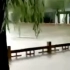 郑州720暴雨中的校园