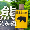 熊乱东瀛：从 “濒危” 到 “泛滥”，日本的熊到底怎么了？【野朋友短讯