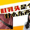 菊花脱出肉球以为是痔疮，去肛肠科看诊结果是肛乳头肥大，严重吗