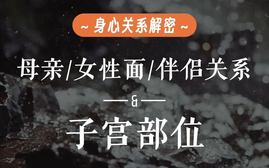 说说子宮部位&母亲/女性面/伴侣的关系，聆听身体的声音｜心灵成长