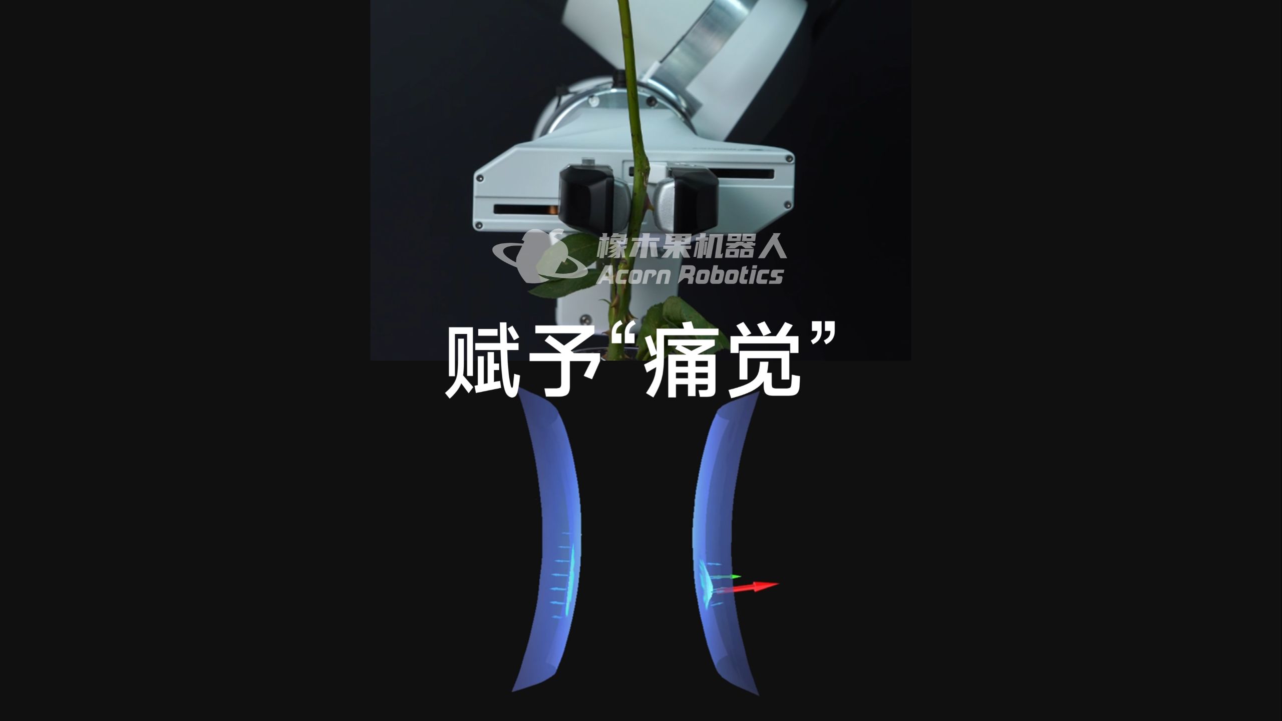 触觉赋予，让机器人也能像人一样拥有“痛觉”！