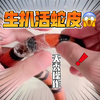 生扒活蛇皮，画面极度舒适～建议围观