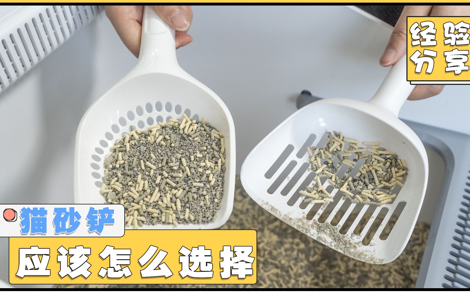 【养猫经验】不同猫砂要用不同的猫砂铲，你选对没？