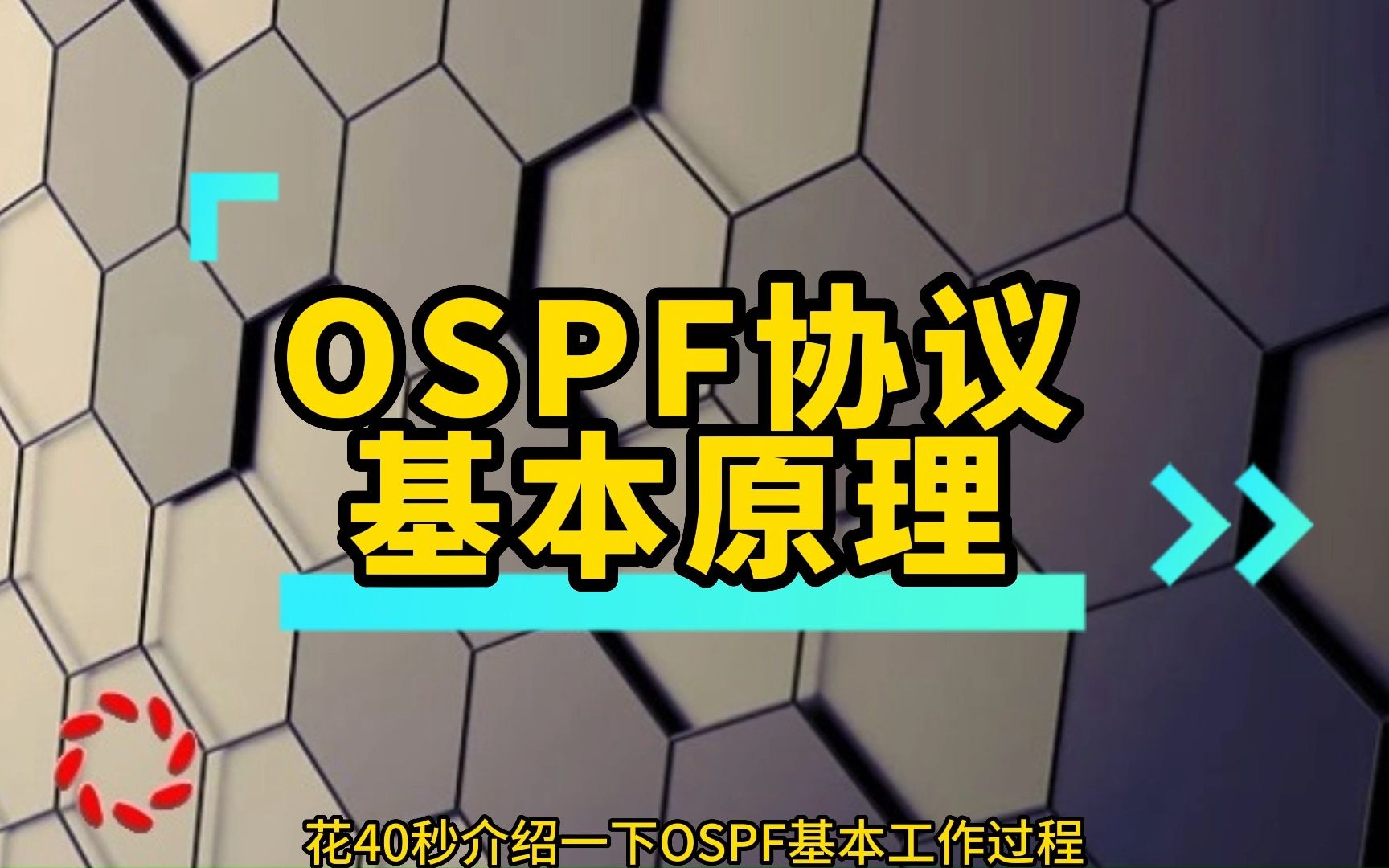 OSPF协议基本原理