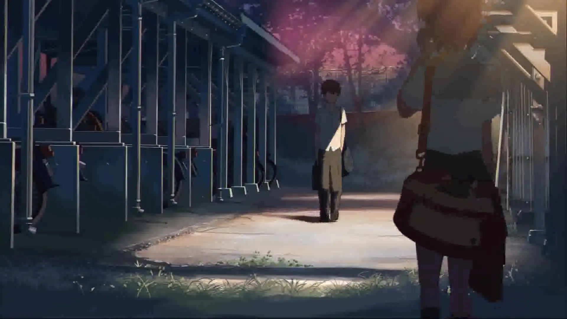 【叶小帅大人】秒速五厘米