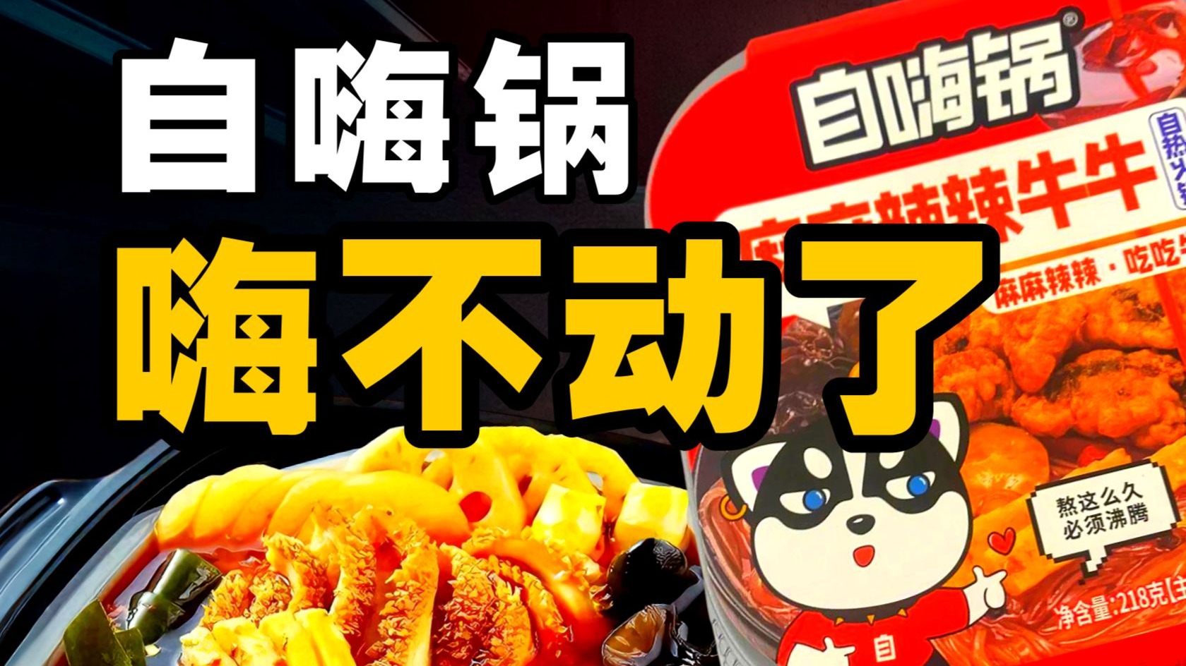 自嗨锅大败局：明星捧红，资本奶大，市场抛弃【暗中观察426】IC实验室