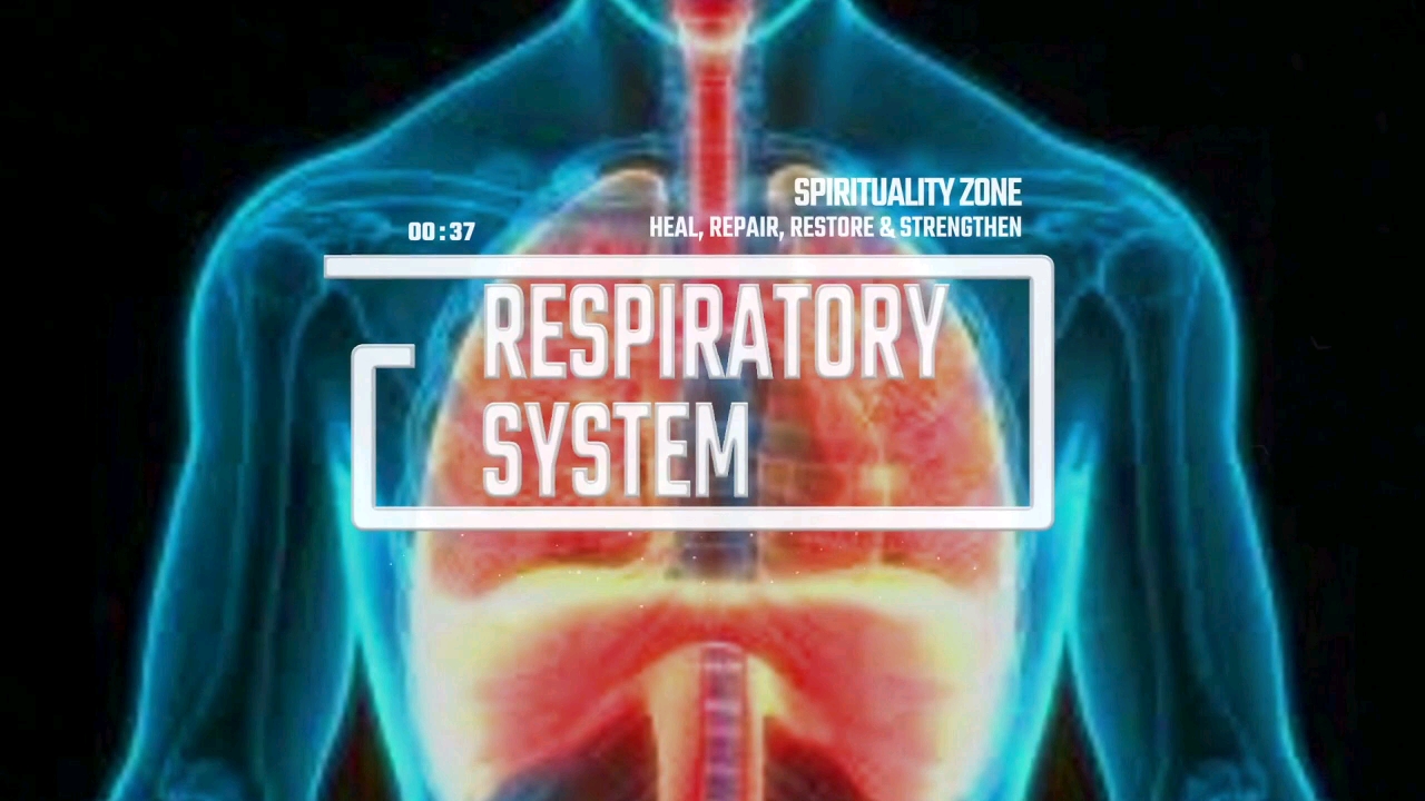 [Spirituality Zone]呼吸系统：更新、恢复和恢复活力（包括能量治疗 ）