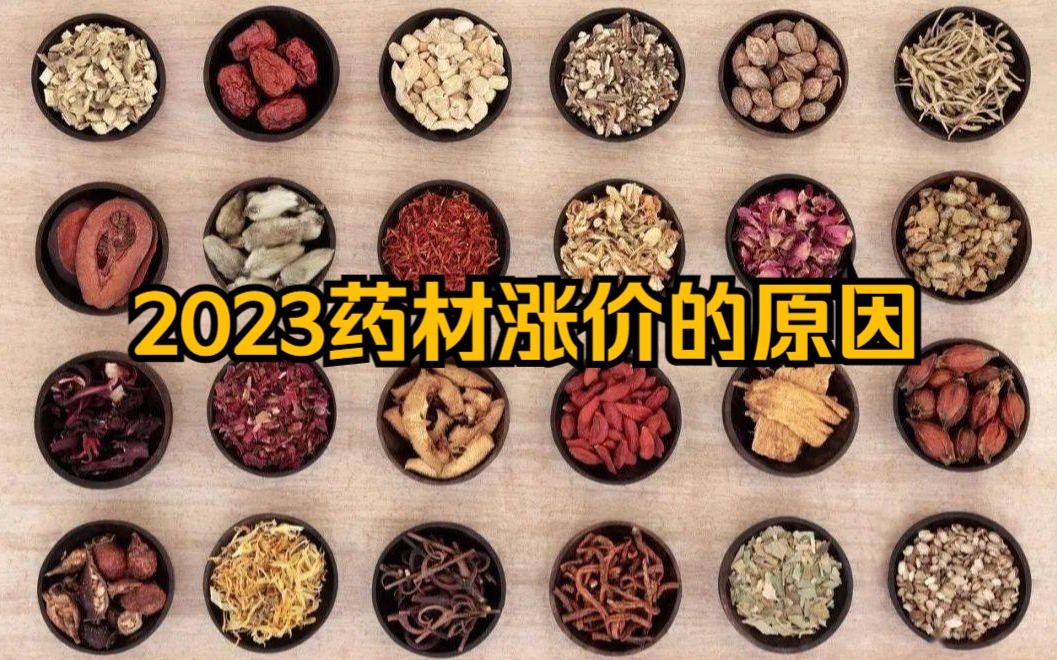 揭秘2023年中药材价格暴涨的真正原因哔哩哔哩bilibili