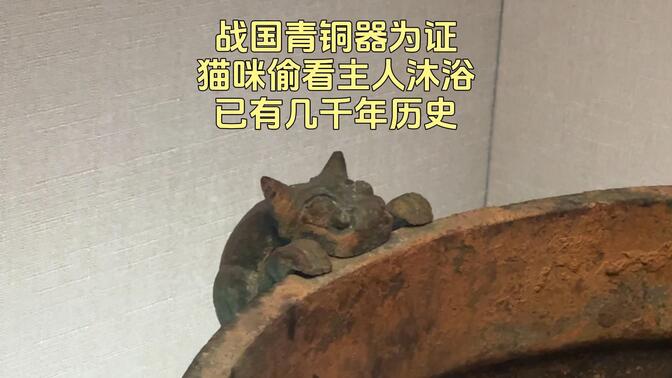 战国青铜器为证，猫咪偷看主人的行为已经有2000多年历史