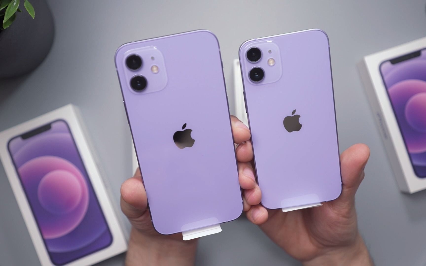 苹果测评】紫色iPhone 12 & 12 Mini 测评对比-哔哩哔哩