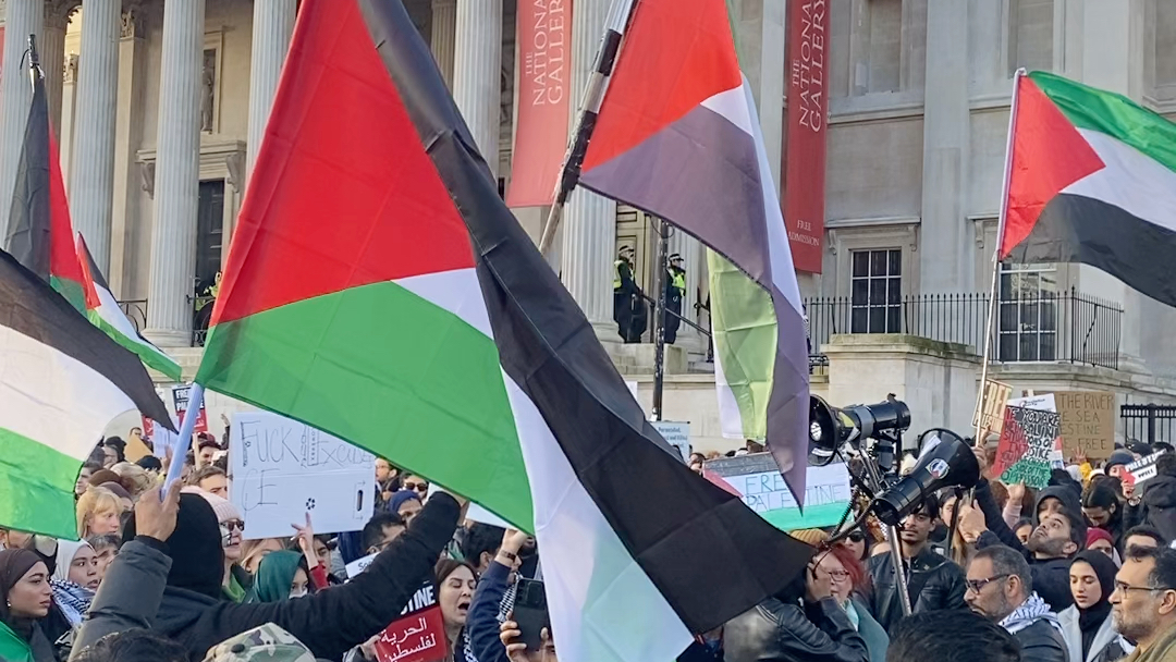 伦敦市民声援巴勒斯坦，反对以色列野蛮侵略