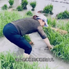 远嫁城里的女儿回乡下帮老父亲栽秧，没有忘记劳动人民的本色