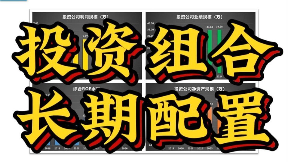 股票投资组合和长期配置