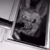 学院寝室第一视角偷拍杀人兔，恐怖！慎入！