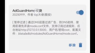 Magisk模块-利用ADGuardHome<em class="keyword">去广告</em>