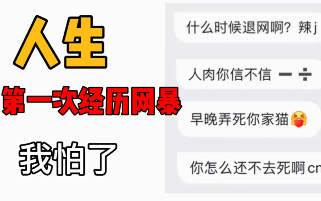 就在昨天我经历了人生第一次网暴,对不起我道歉.哔哩哔哩bilibili