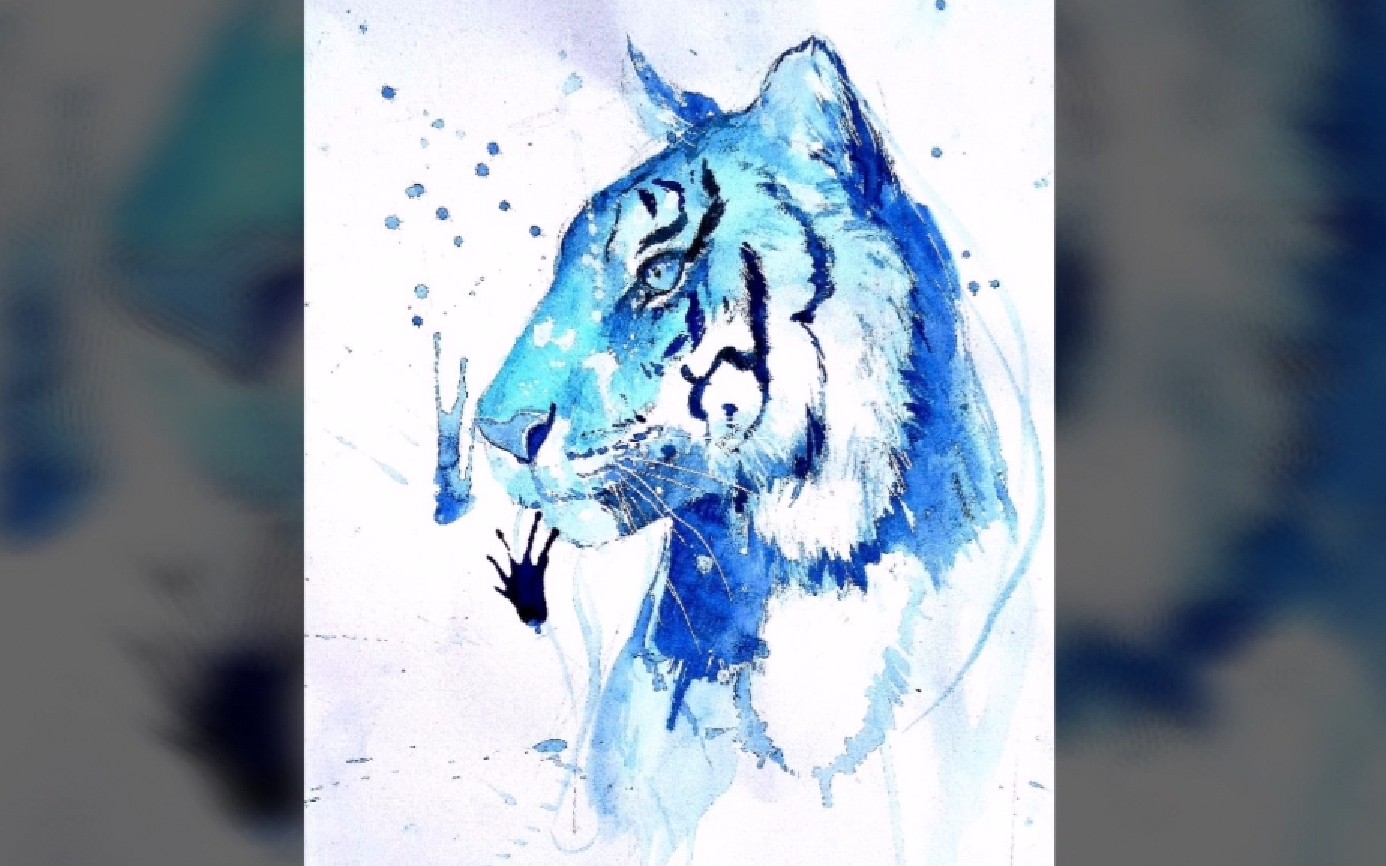 【水彩】边野的手绘课堂之蓝虎_哔哩哔哩_bilibili