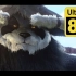 魔兽世界：熊猫人之谜 8K超清重制