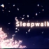 【New Editors Contest】Sleepwalker（单投）