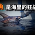剑鱼之谜：它会屠杀鲨鱼？橙色剑鱼肉咋回事？水俣病和剑鱼有关？