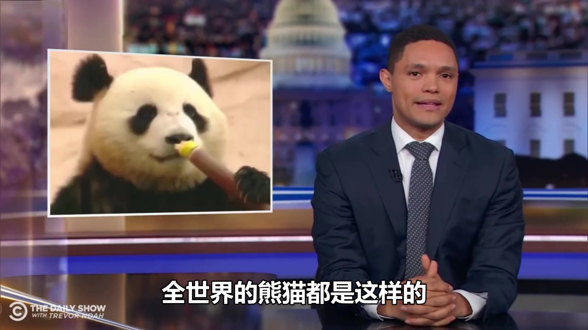 【崔娃】中国送了俄罗斯两只大熊猫，美国人民有小情绪了