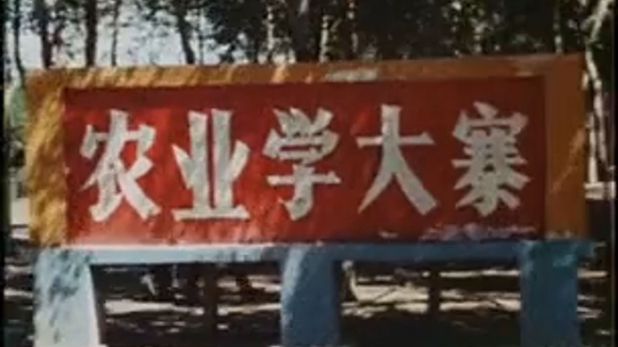 70年代，农业学大寨！！！