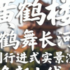 《鹤舞长河》系列行进式实景演出今日上线！就在黄鹤楼公园，一亭一景，边走边看，行进式解锁名楼新玩法！实景演出可能因天气、气温调整或取消，以现场公示为准，敬请谅解